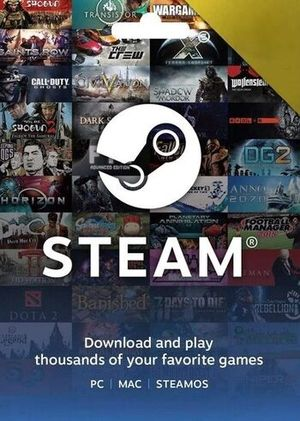 بطاقة Steam Wallet العالمية - 100 USD